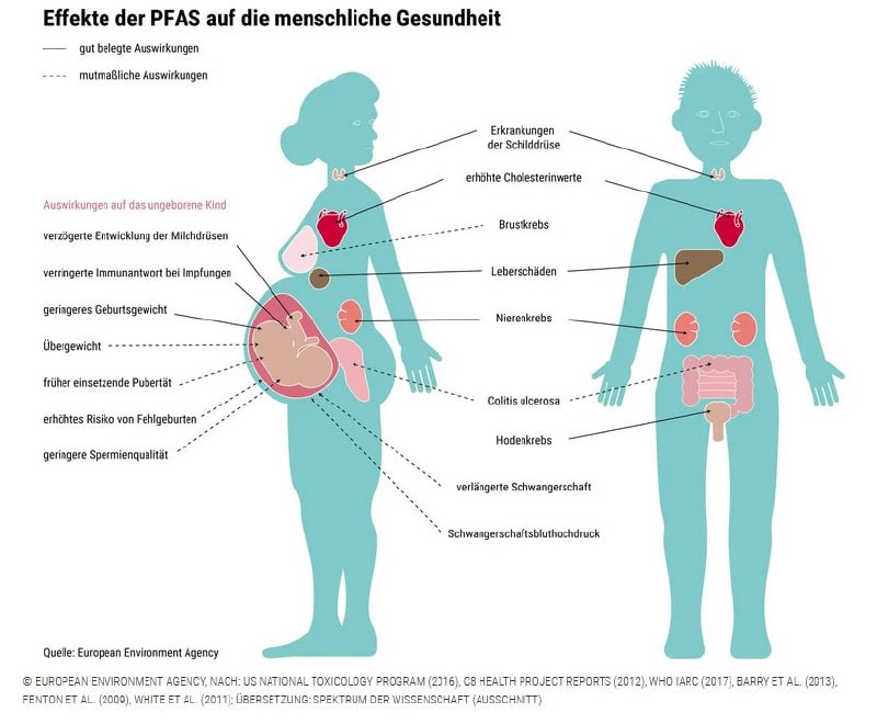 PFAS existieren quasi für die Ewigkeit. Die Natur kann PFAS nicht abbauen. …