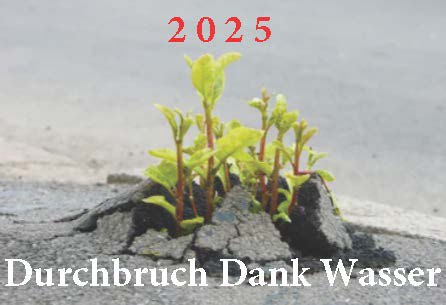 Durch Osmose schwellen Pflanzenzellen mit Wasser an, teilen und erneuern sich. …