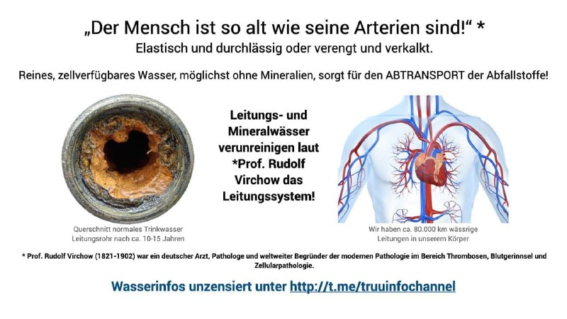 Link: t.me