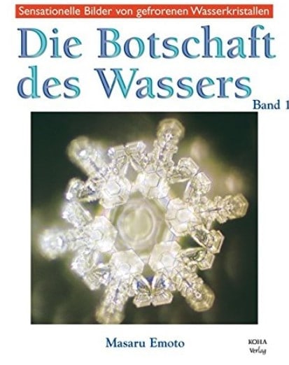 Beitrag vom 11.02.2022