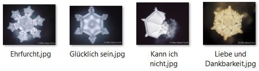 Beitrag vom 11.02.2022